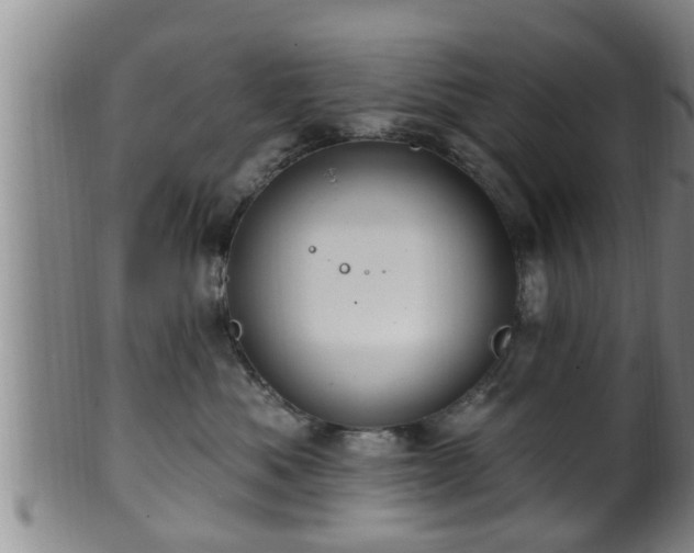 X0000100870525200806271116