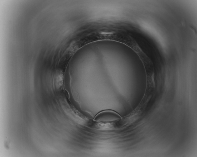 X0000100870526200806271116