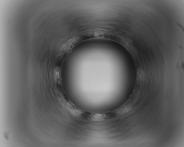 X0000100870527200806271116