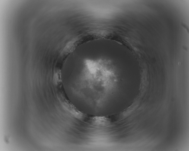 X0000100870528200806271116