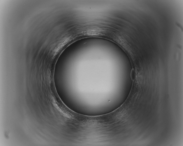 X0000100870530200806271115