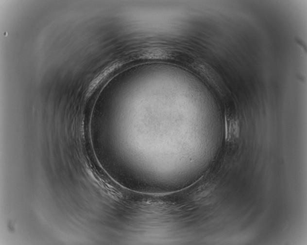 X0000100870531200806271115