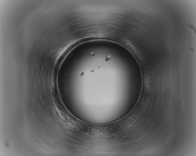 X0000100870532200806271115