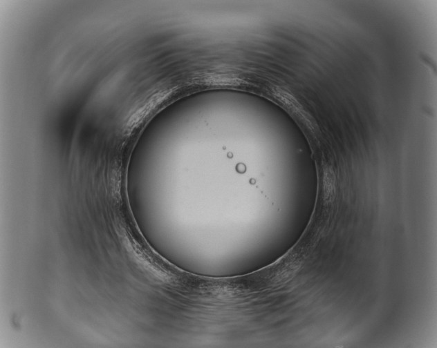 X0000100870533200806271115