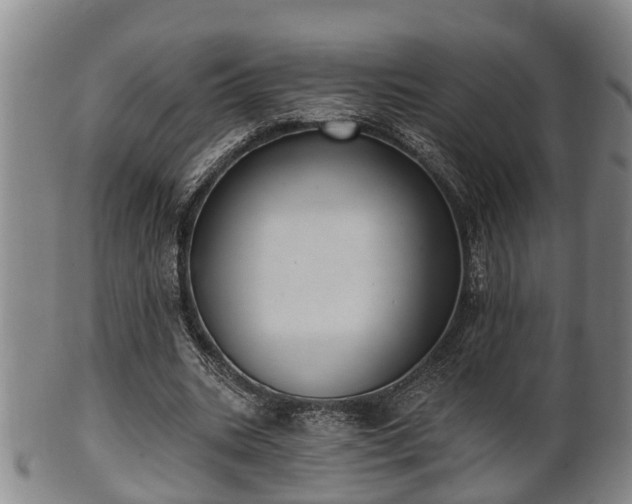 X0000100870535200806271115