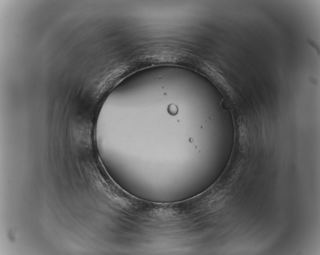 X0000100870537200806271115