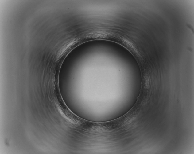 X0000100870538200806271115