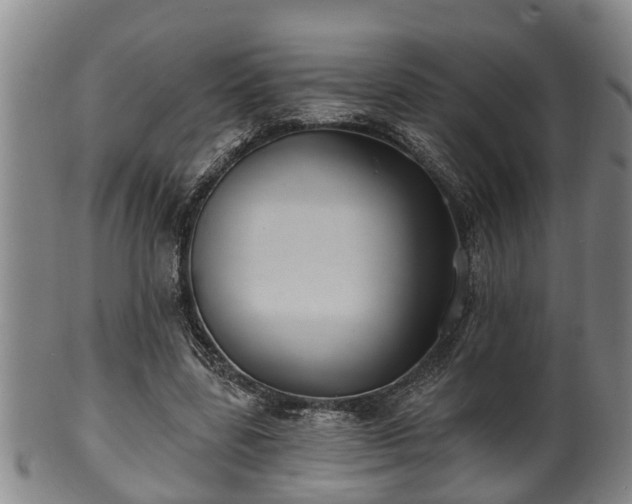 X0000100870539200806271115