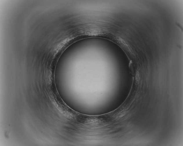 X0000100870540200806271115