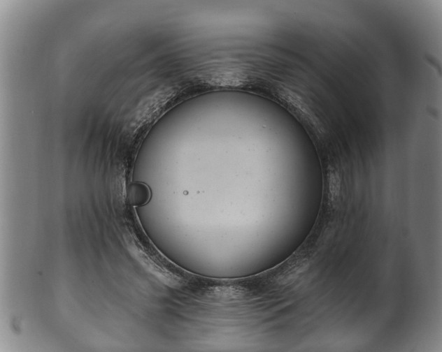 X0000100870541200806271115