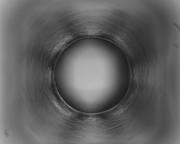 X0000100870542200806271115