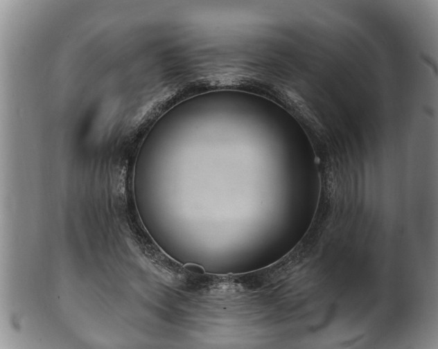 X0000100870543200806271115