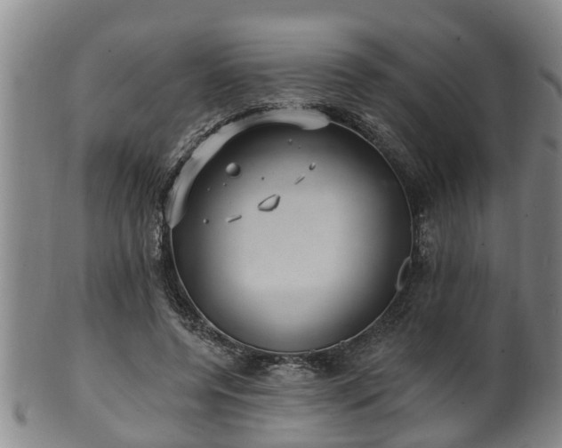 X0000100870544200806271115