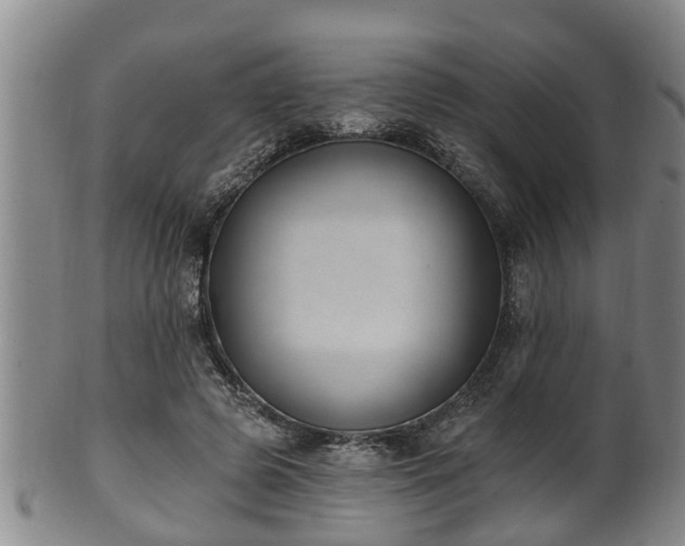 X0000100870545200806271115