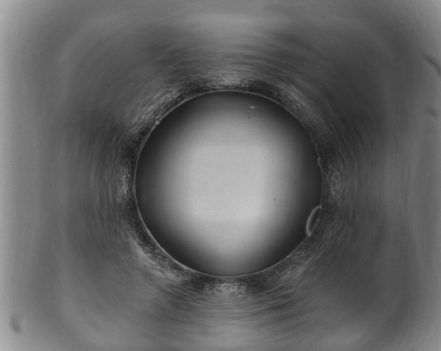 X0000100870546200806271115