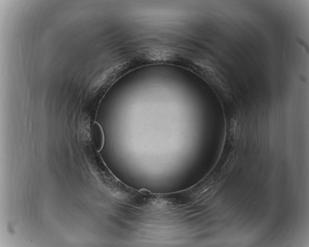 X0000100870547200806271115