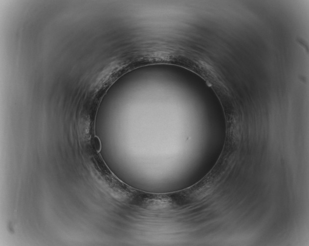 X0000100870548200806271116