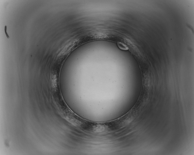 X0000100870549200806271116