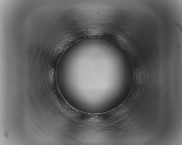 X0000100870550200806271116