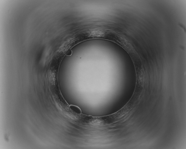 X0000100870551200806271116