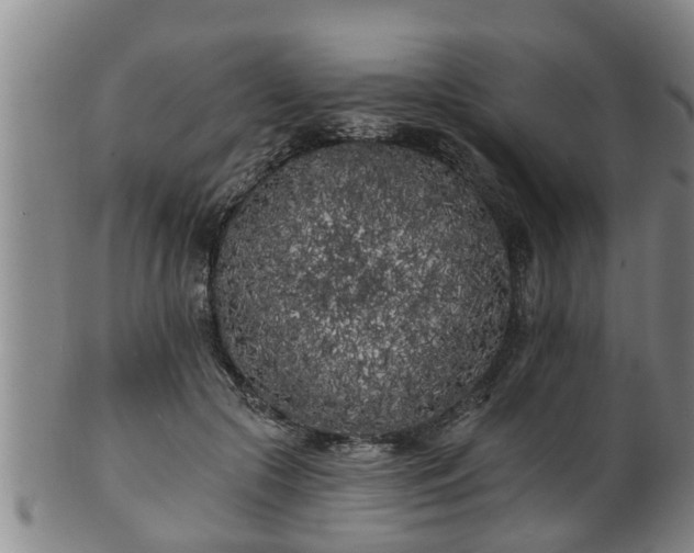 X0000100870553200806271116