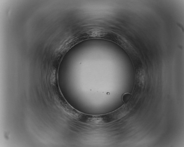 X0000100870554200806271116