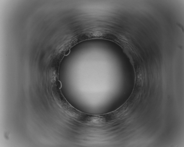 X0000100870555200806271116