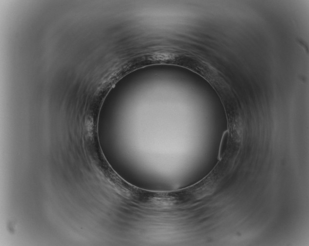 X0000100870556200806271116