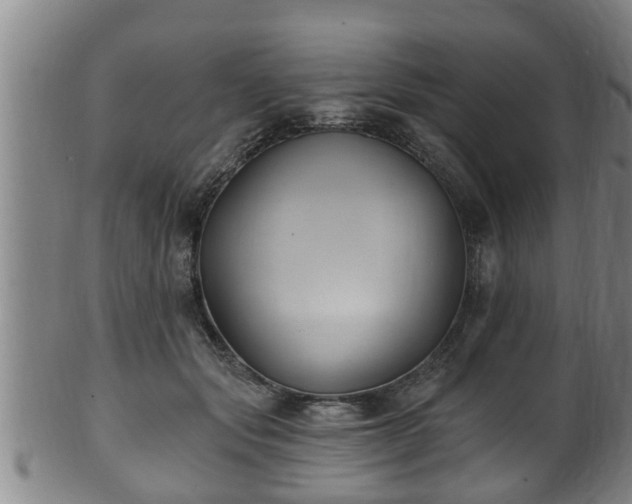 X0000100870557200806271116