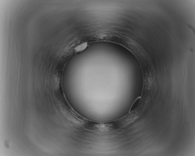 X0000100870558200806271116