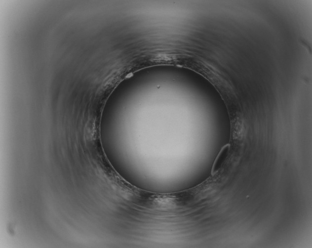 X0000100870560200806271116