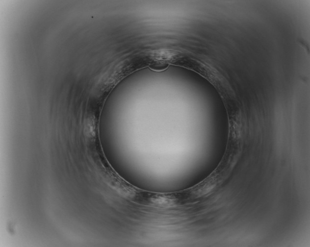 X0000100870561200806271116