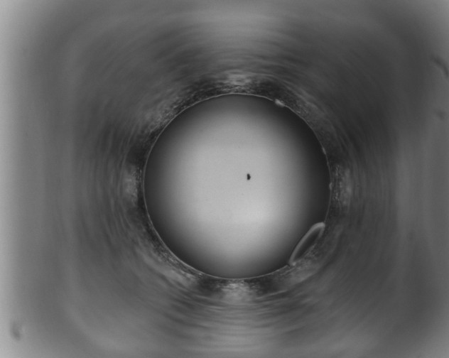 X0000100870562200806271116