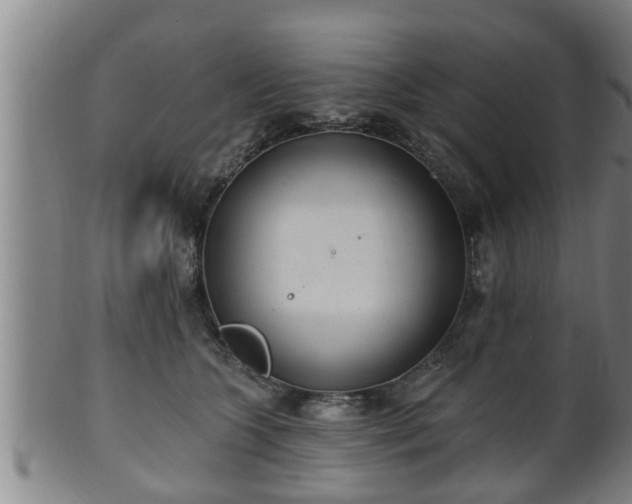 X0000100870563200806271116