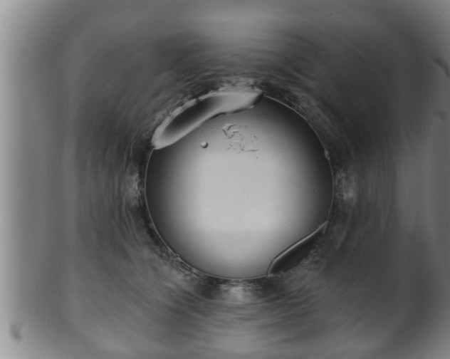 X0000100870564200806271116