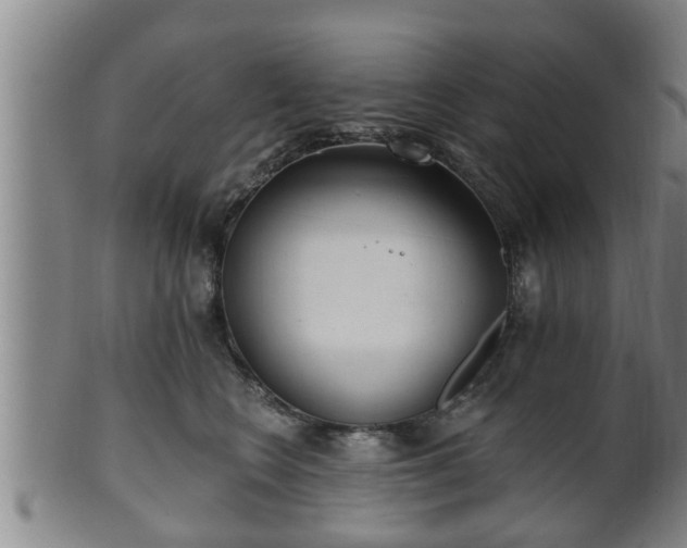 X0000100870566200806271116