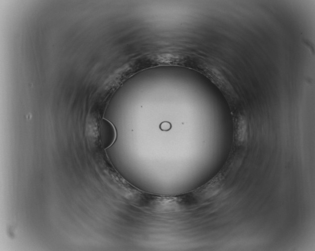 X0000100870569200806271116