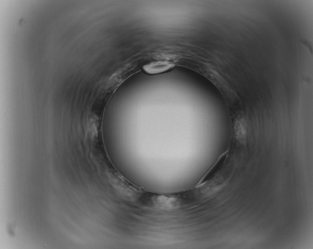 X0000100870570200806271116