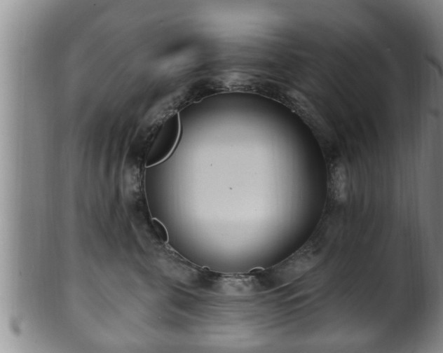 X0000100870571200806271116