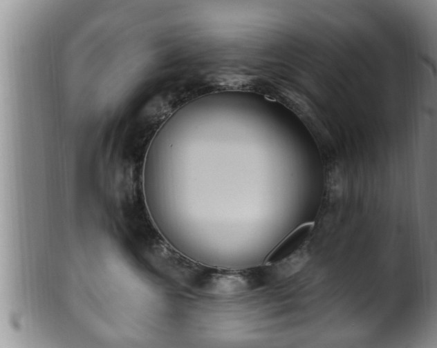 X0000100870572200806271116