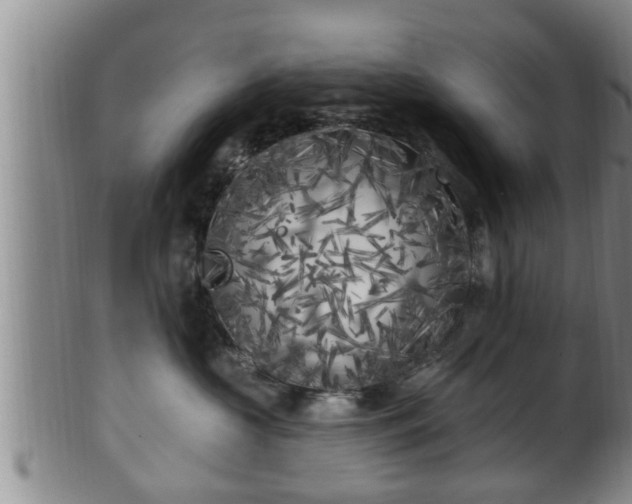 X0000100870573200806271116