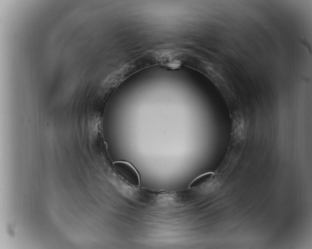 X0000100870574200806271116