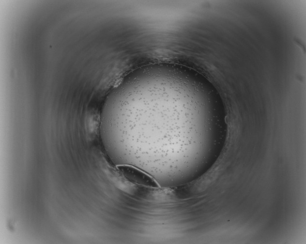 X0000100870576200806271116