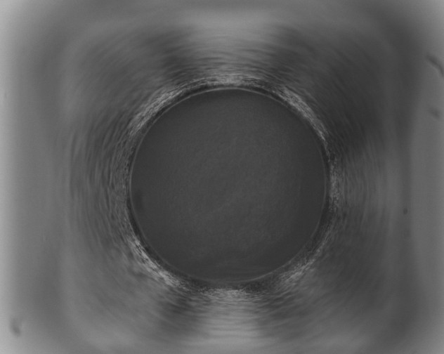 X0000100870577200806271115