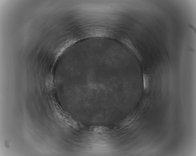 X0000100870579200806271115