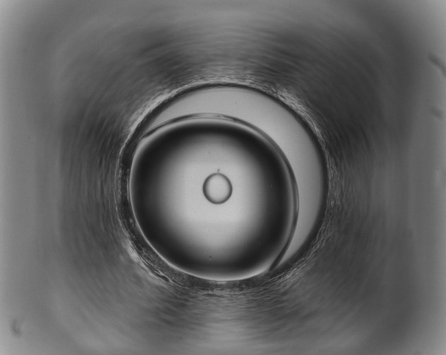 X0000100870580200806271115