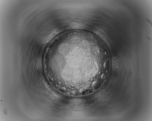 X0000100870581200806271115