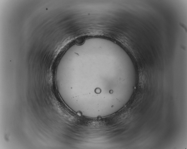 X0000100870584200806271115