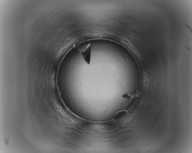 X0000100870585200806271115