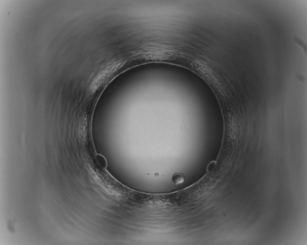 X0000100870586200806271115